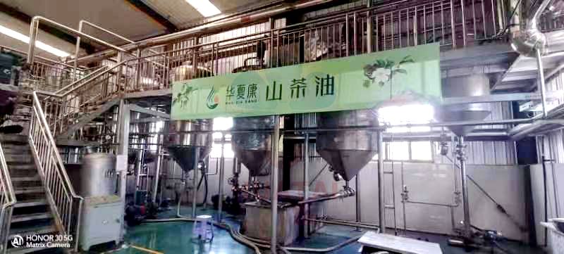 tea seed oil machine